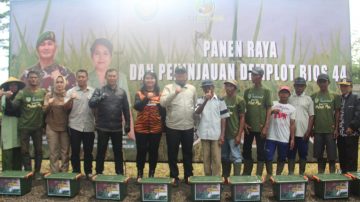 Kunker Ke Tasikmalaya, Pangdam III Siliwangi Gelar Panen Raya 