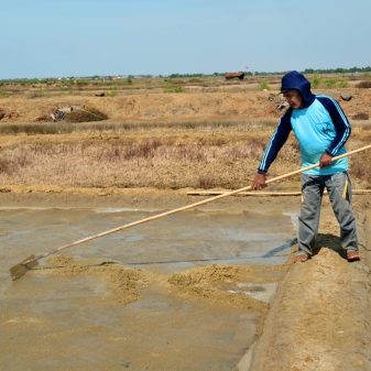 Harga Garam Melambung, Simon Petani Garam Warga Ranjeng Losarang Tersenyum