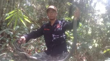 Animal Rescue Karangnunggal, Evakuasi Ular yang Masuk Pemukiman Warga