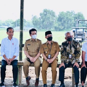 Tinjau Penanaman Tebu di Mojokerto, Presiden : Varietas Baru Hasil Luar Biasa