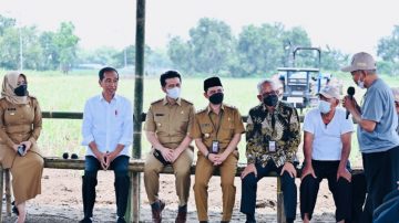 Tinjau Penanaman Tebu di Mojokerto, Presiden : Varietas Baru Hasil Luar Biasa