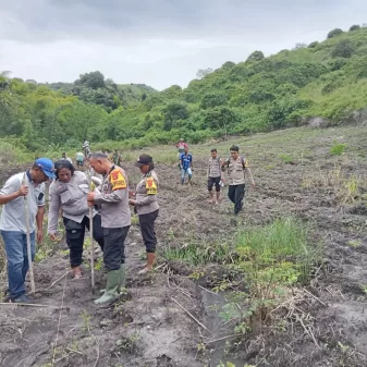Seiring Harapan Presiden, Kapolres Ngada Dan Ketua DPRD Dorong Petani Tanam Sorgum