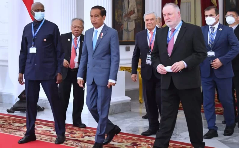 Terima Delegasi World Water Council, Presiden Jokowi Tekankan Enam Topik