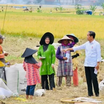 Sambangi Petani, Presiden Jokowi Tanya Harga Gabah