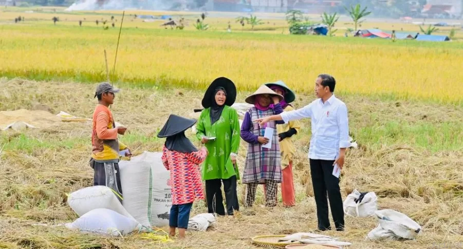 Sambangi Petani, Presiden Jokowi Tanya Harga Gabah