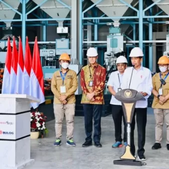 Presiden Joko Widodo Himbau Bulog Serap Gabah Petani Sebanyak-Banyaknya
