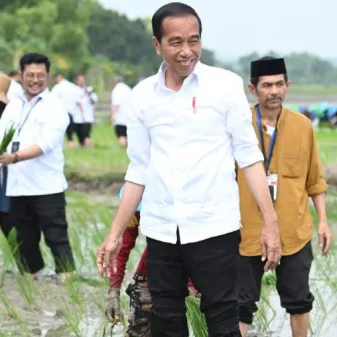 Tanam Padi Di Tuban, Presiden Apresiasi Penggunaan Pupuk Organik