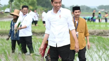 Tanam Padi Di Tuban, Presiden Apresiasi Penggunaan Pupuk Organik