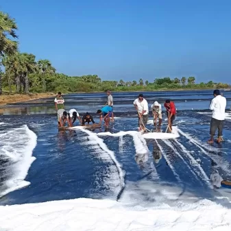 Tekad Dira Tome dan Denni De Mita Membangun Tambak Garam Di Sabu Raijua 