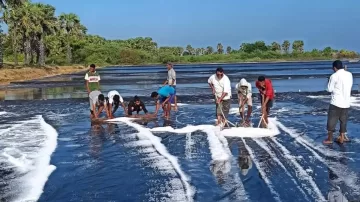 Tekad Dira Tome dan Denni De Mita Membangun Tambak Garam Di Sabu Raijua 