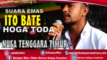 Suara Emas Ito Bate, Anak Berbakat Generasi Musik Ngada NTT