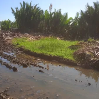 Dirusak Serta Diserobot, DPP LANTIK Duga Proyek Siluman Rugikan Warga Pemilik Lahan di Makassar