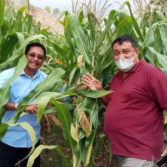 PT NRI Kembangkan Pertanian Lahan Kering Di Sabu Raijua, Ini Penjelasan Dira Tome 