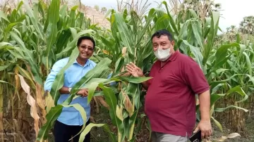 PT NRI Kembangkan Pertanian Lahan Kering Di Sabu Raijua, Ini Penjelasan Dira Tome 