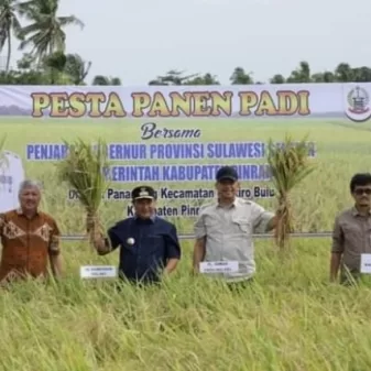 Bupati Pinrang Bersama Pj Gubernur Sulsel Pesta Panen Padi di Kabupaten Pinrang