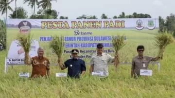 Bupati Pinrang Bersama Pj Gubernur Sulsel Pesta Panen Padi di Kabupaten Pinrang