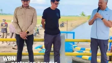 Plt dinas pertania Dampingi Bupati Pinrang Hadiri Mappalili, Ritual Turun Sawah