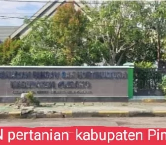 Dinas Tanaman Pangan dan Holtikultura Target Tinkatkan Komoditi Tanaman 2024