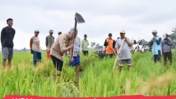 Bupati Pinrang Mappalili Di Cappakala, Optimis Hasil Pertanian Musim Tanam Ini Akan Meningkat