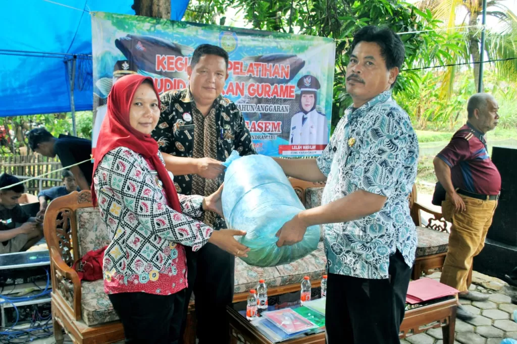 Desa Karangasem Indramayu Miliki Potensi Besar Budidaya Ikan Gurame