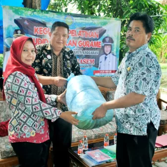 Desa Karangasem Indramayu Miliki Potensi Besar Budidaya Ikan Gurame