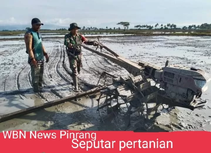 Dukung Ketahanan Pangan, Babinsa Koramil-04/Paleteang Kodim 1404/Pinrang Bantu Petani Garap Lahan Sawah