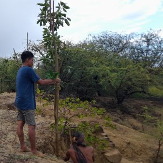 Ecologi Rai Hawu Gandeng Warga Desa Ballu  Tanam Ratusan Pohon Di Pulau Raijua 
