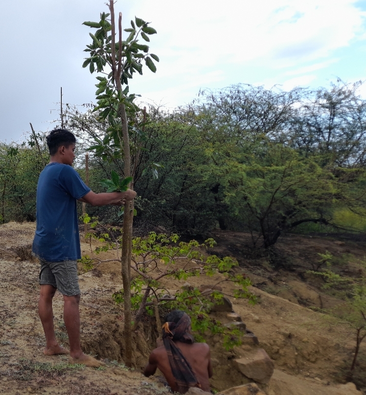 Ecologi Rai Hawu Gandeng Warga Desa Ballu Tanam Ratusan Pohon Di Pulau Raijua