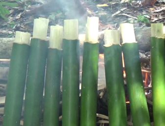 Ritual Adat Jembatan Nasional Terpanjang Di Flores NTT