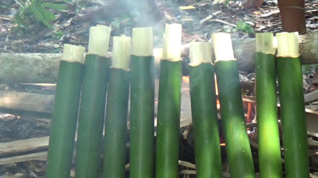 Ritual Adat Jembatan Nasional Terpanjang Di Flores NTT