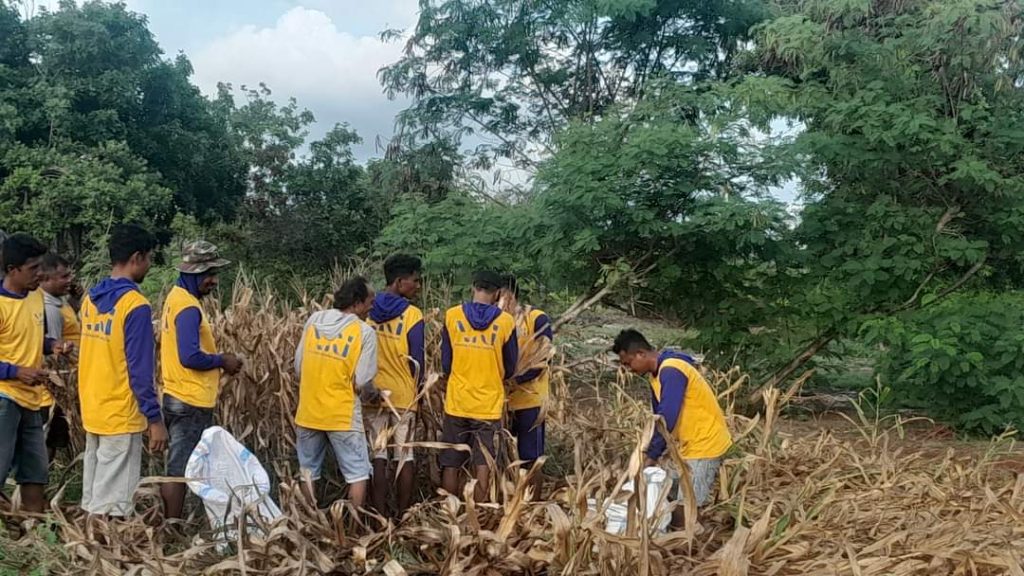 Buka Lapangan Kerja Baru Di Sabu Raijua, PT NRI Bidik Sektor Pertanian