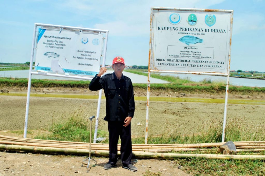 Exsistensi Usaha Petani di Desa Wanantara Budidaya Ikan Nila Salin