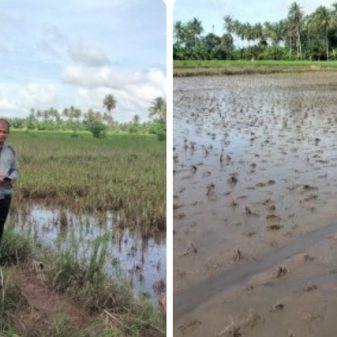 Respon cepat balai penyuluhan pertanian kelurahan tiroang atas laporan warga mengenai dampak banjir yang melanda persawahan