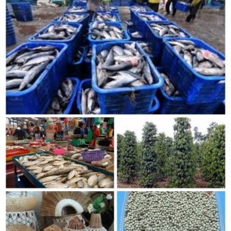 Potensi Ekonomi Masyarakat Belitung dari Pertanian, Perikanan dan Pariwisata