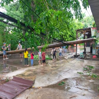 Pohon Tumbang Menutup Jalan, Akibat Hujan Angin terjadi di Tambun Selatan
