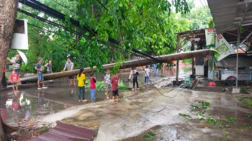 Pohon Tumbang Menutup Jalan, Akibat Hujan Angin terjadi di Tambun Selatan