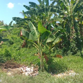 SPPT PBB Siluman Terbit, Aparat Desa Saling Tuding Dalam Proses Pembuatan