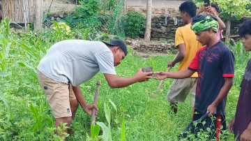 Gagas Program Kepue Due, Tim Kampung Adat Dara Rae Dabba Tanam Ratusan Pohon Lontar di Sabu Raijua