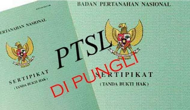 LAKI P45 Serta Lembaga Analisis HAM Desak Kajari Wajo Serius Tangani Laporan Dugaan Mark Up Biaya PTSL