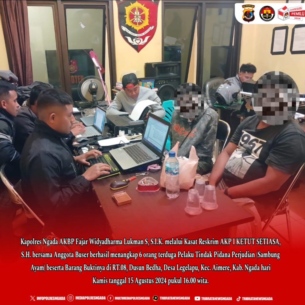 Polres Ngada NTT Tangkap Enam Pelaku Judi Sabung Ayam Di Aimere