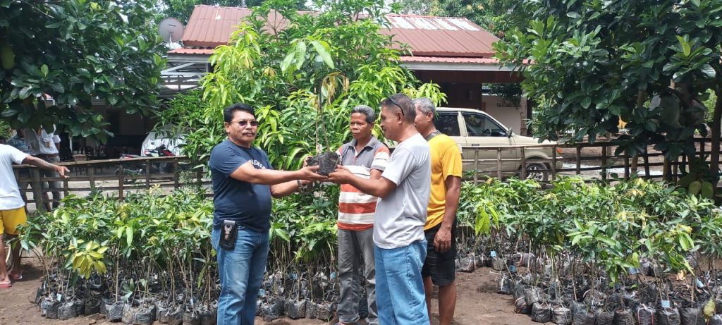 Nagekeo : Anggota DPR RI Julie Laiskodat Bantu Bibit Tanaman Unggul
