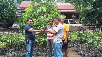 Nagekeo : Anggota DPR RI Julie Laiskodat Bantu Bibit Tanaman Unggul