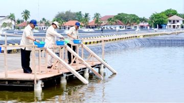 Dorong Swasembada Pangan dan Ekonomi Biru, Presiden Prabowo Tinjau Kawasan BLUPPB Karawang