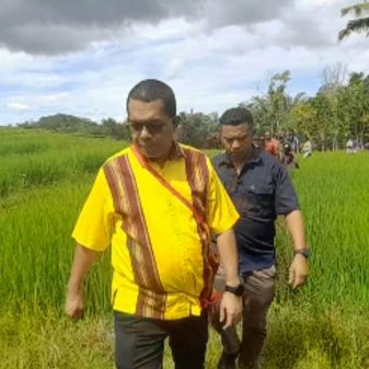 Dorong Lumbung Pangan, Gubernur NTT Melki Laka Lena Sisir Persawahan Soa Ngada