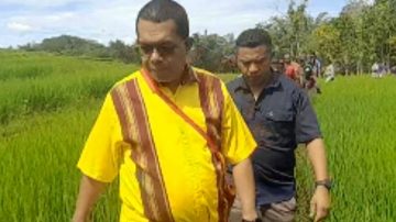 Dorong Lumbung Pangan, Gubernur NTT Melki Laka Lena Sisir Persawahan Soa Ngada