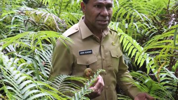 Wagub NTT Johni Asadoma Ajak Warga Kunjungi Wisata Hutan Rindang Oeluan