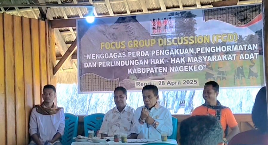 Pimpinan Harian Daerah Aman Dorong Perda Perlindungan Masyarakat Adat Nagekeo
