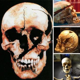 Tengkorak Prajurit Perang Mengungkap Realitas Mengerikan