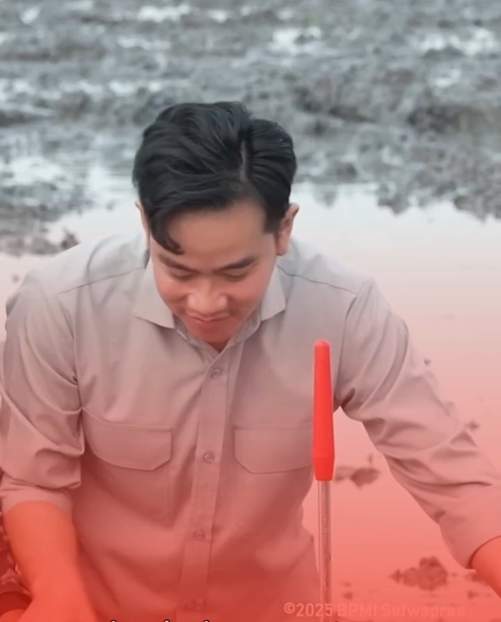 Masuk Sawah Wapres Gibran Ajak Semua Pihak Perkuat Visi Swasembada Pangan