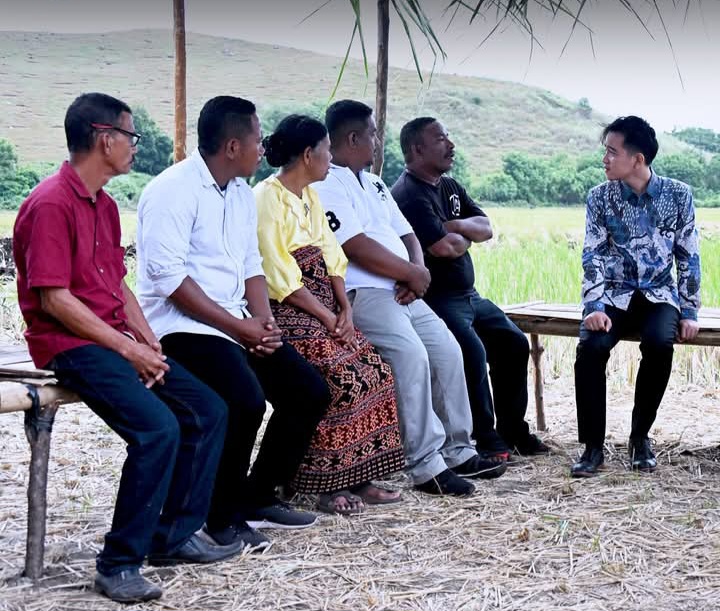 Di Pondok Sawah Desa Kolisia Sikka Flores Wapres Gibran Dengarkan Keluh Kesah Petani